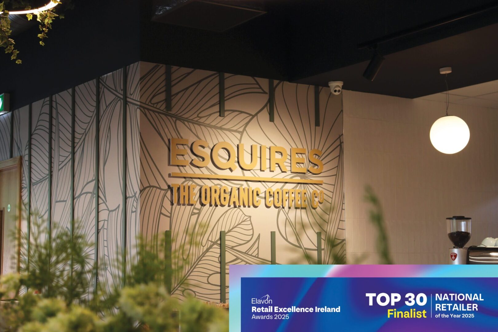 Esquires Mallow Top 30 Finalists REI 2025 Awards